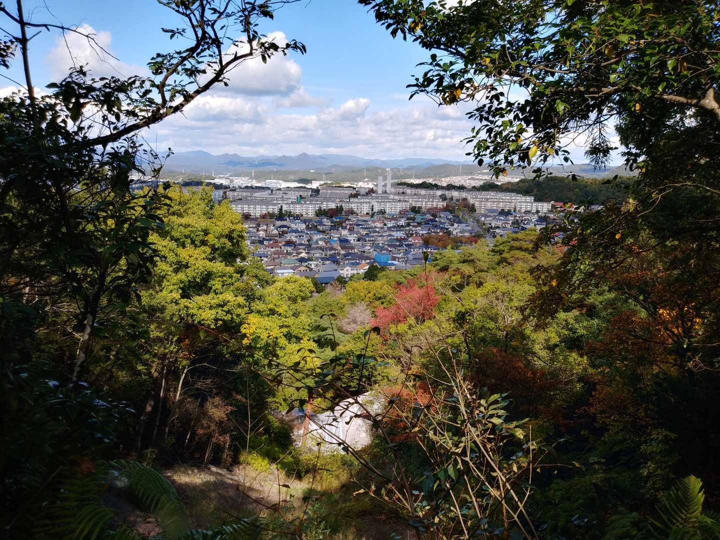 高丸山 周回コースの写真