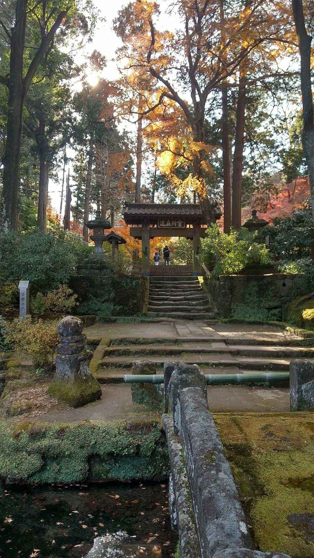 雰囲気のあるお寺が随所に