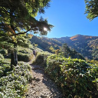 すぐに景色が開けてくる