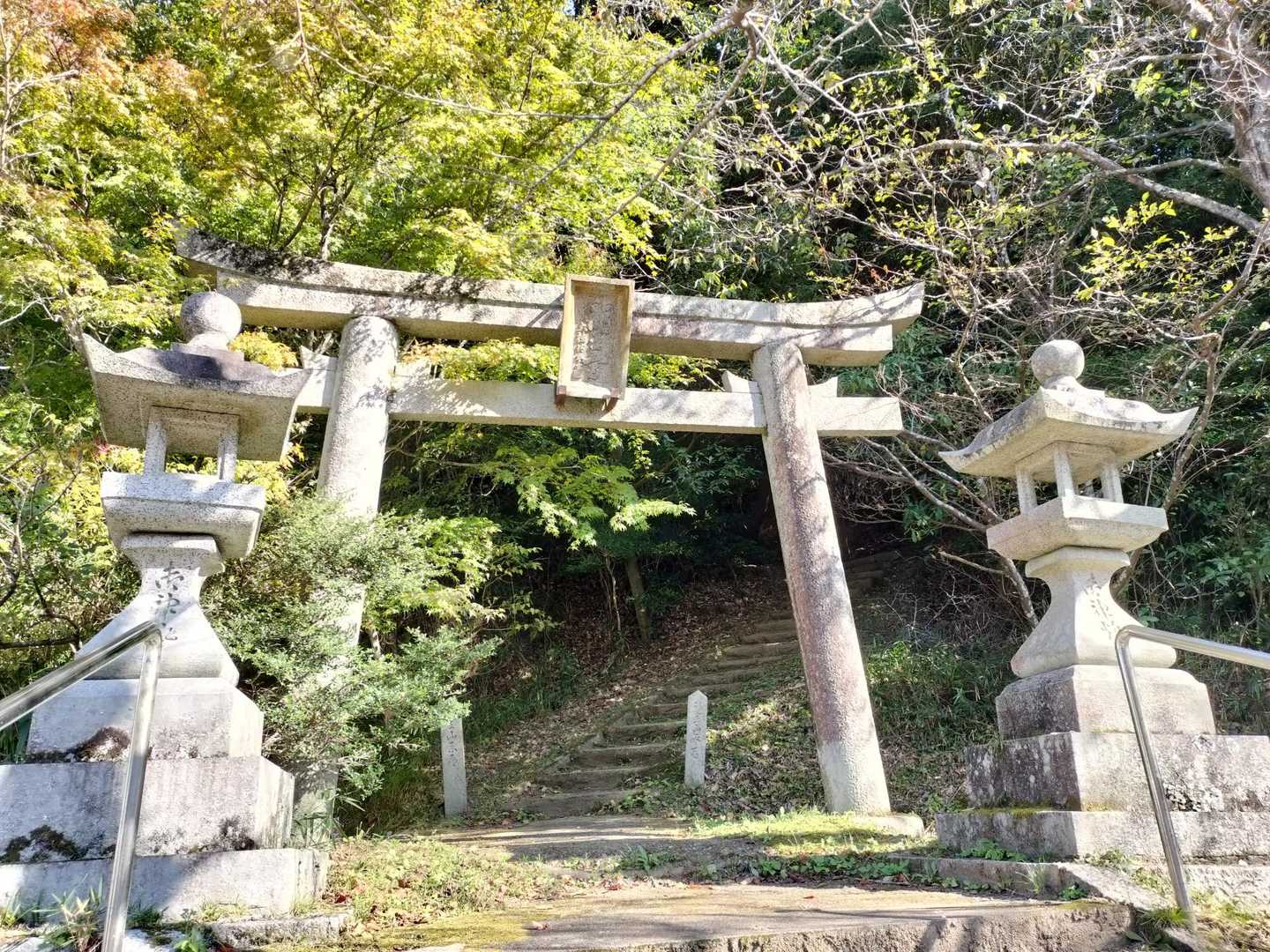 ここから登っていきます。