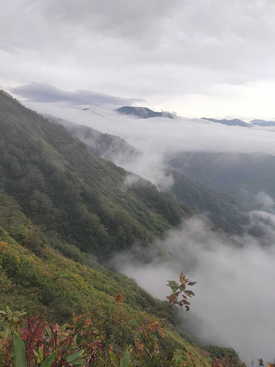 薬師原登山口-八森山 往復コースの写真