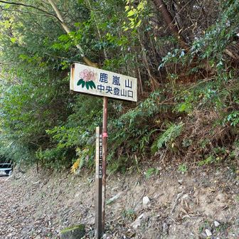 途中中央登山口を経由して