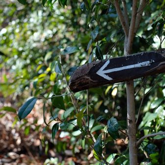 あちらへどうぞ〜