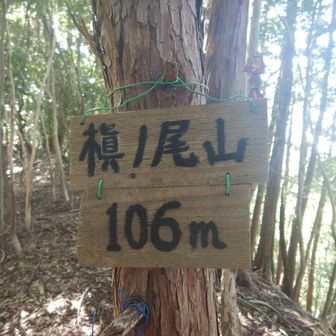 本日5座目：槇ノ尾山登頂🙌