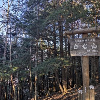 やっと
急登終わり
