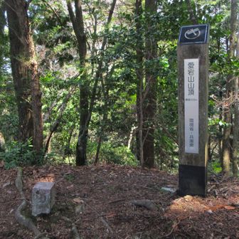 標高648m愛宕山山頂