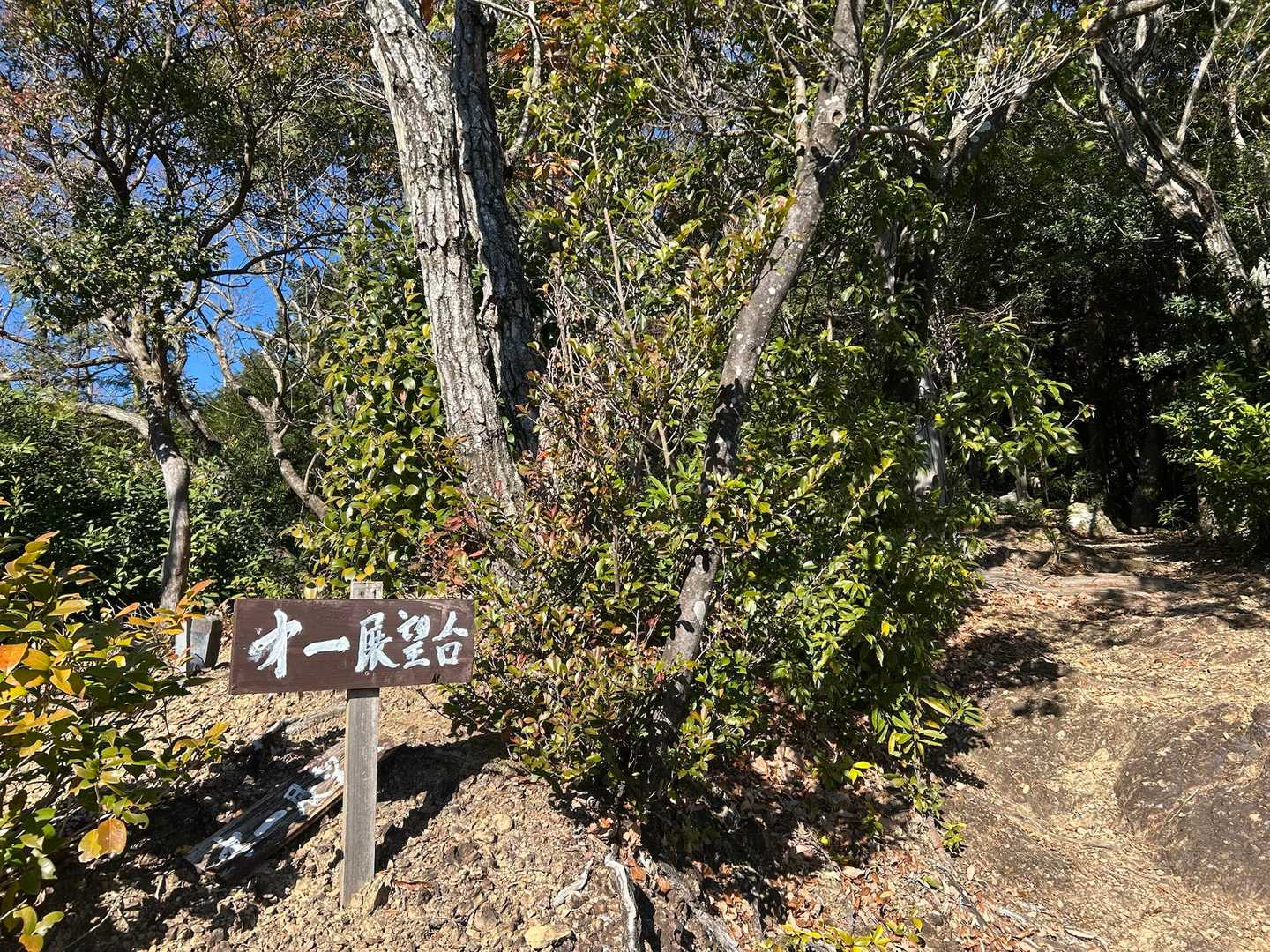 色利登山口-元越山 往復コースの写真