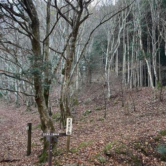 ニ蔵宿小屋🛖にてお昼🍚