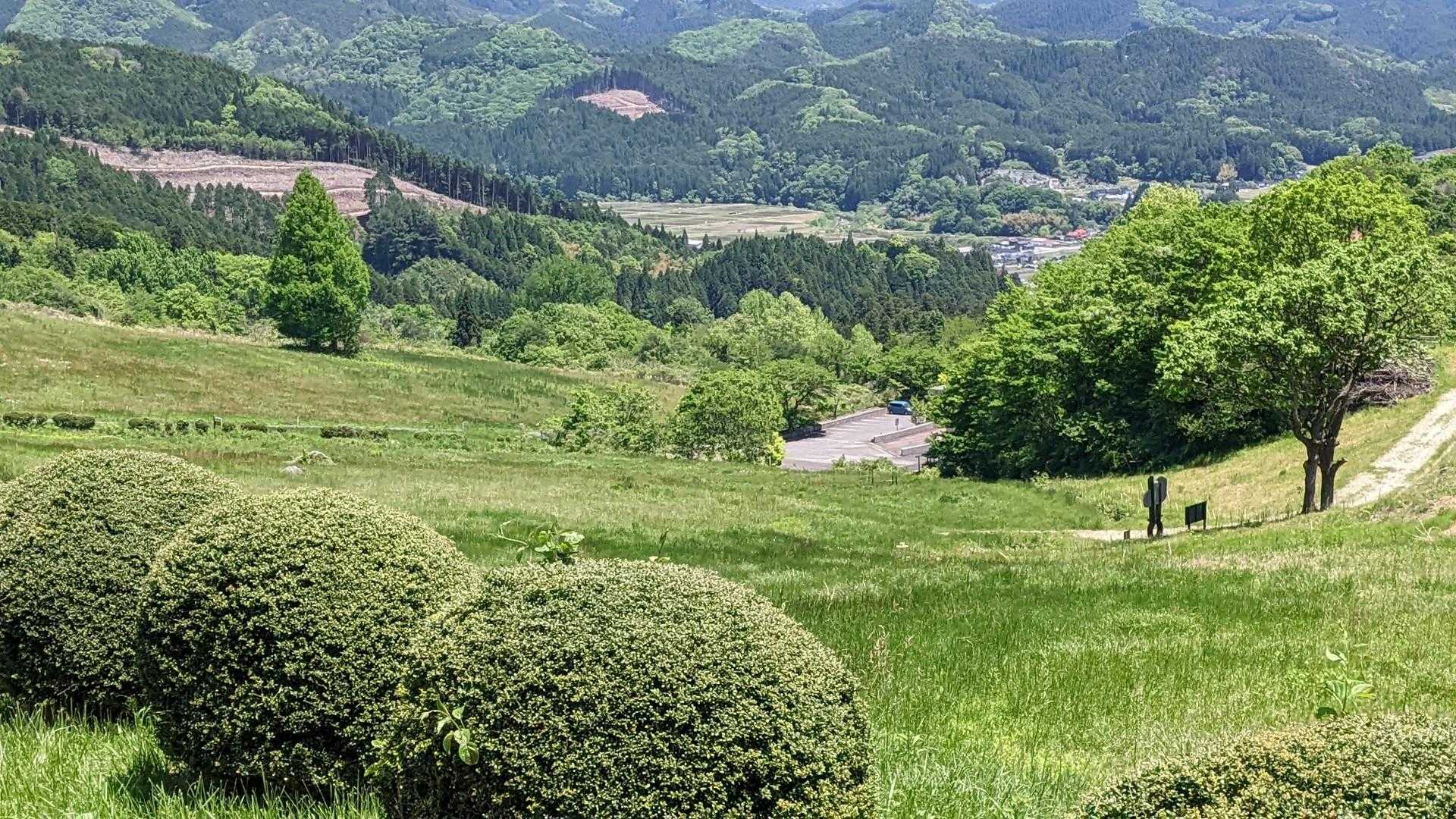 無事、戻ってきました。