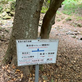 次回はもっと穏やかな道を行くことを決意