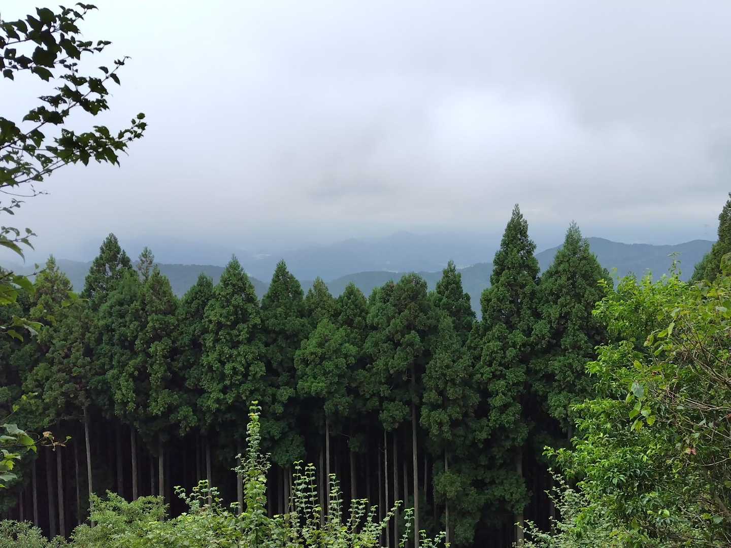 時々開けるもガスで視界が悪い(^^;)