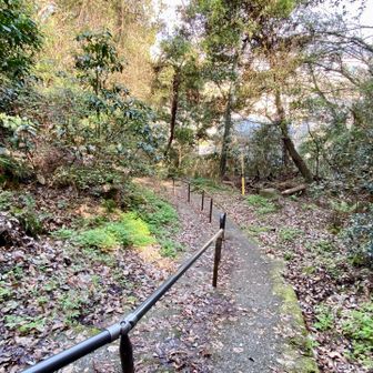 黒瀬登山口近くの急坂。毎回滑りそうになる💦