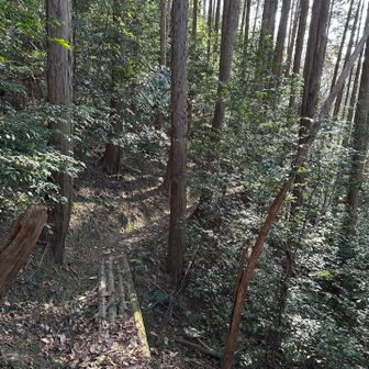 もちろん初見のルート