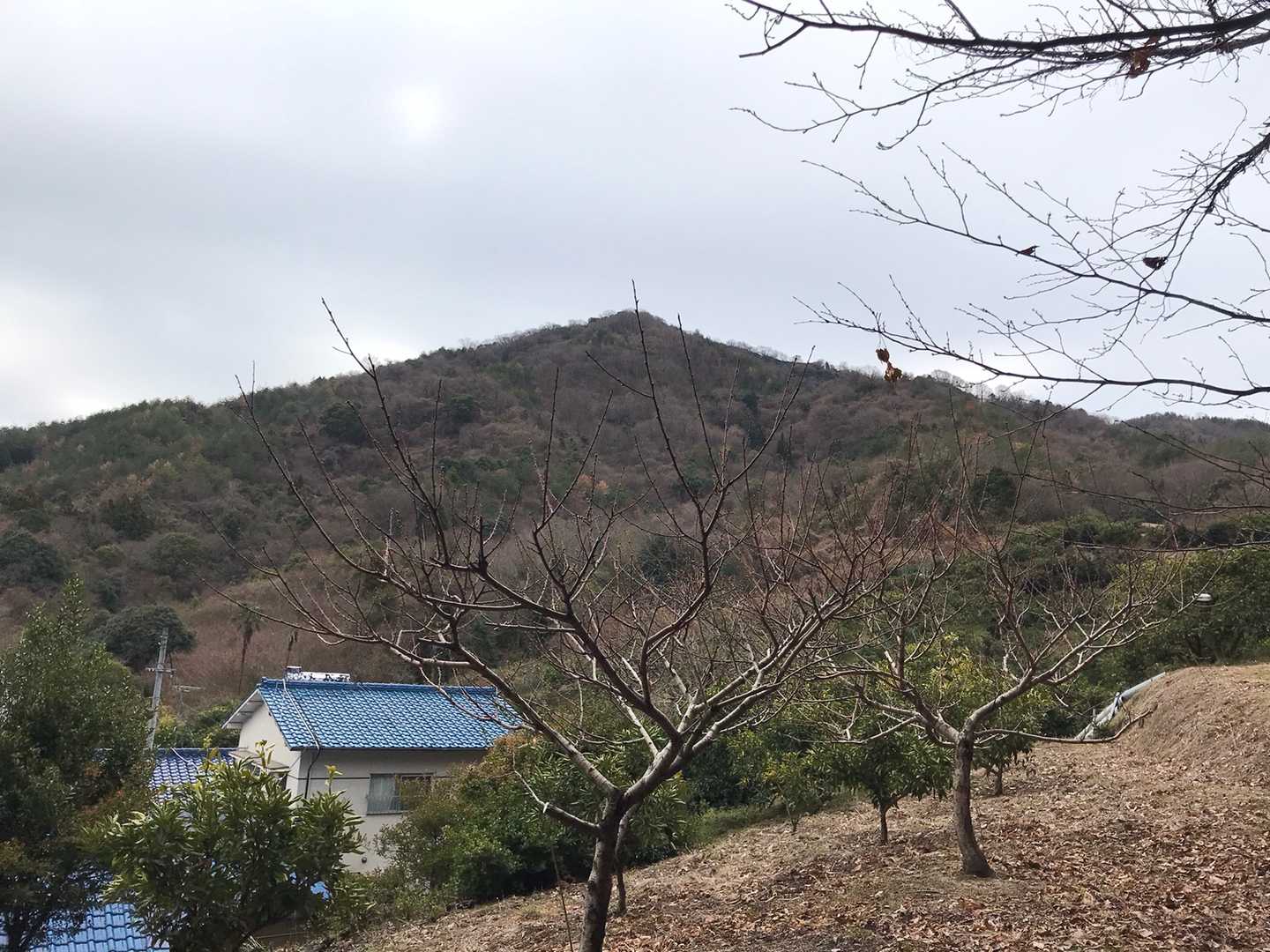 これから登る牡蠣山かな☺️