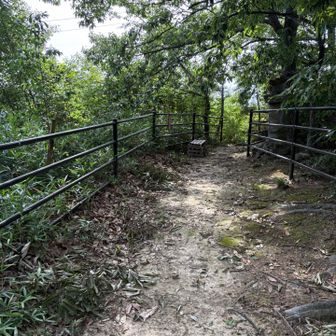 山頂到着