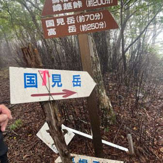分岐を五勇山へ