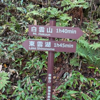 今日は然別湖が見たく白雲山〜天望山グルリにチャレンジ💪スタート時は4℃ぐらいで寒い🥶