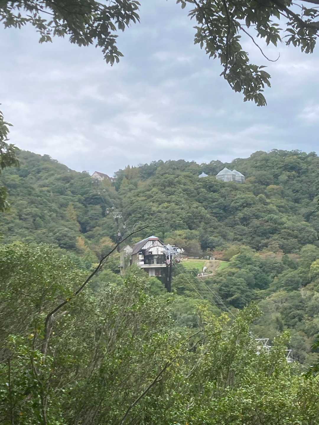 布引ハーブ園かな？

そういえば行った事ないなぁ🤔