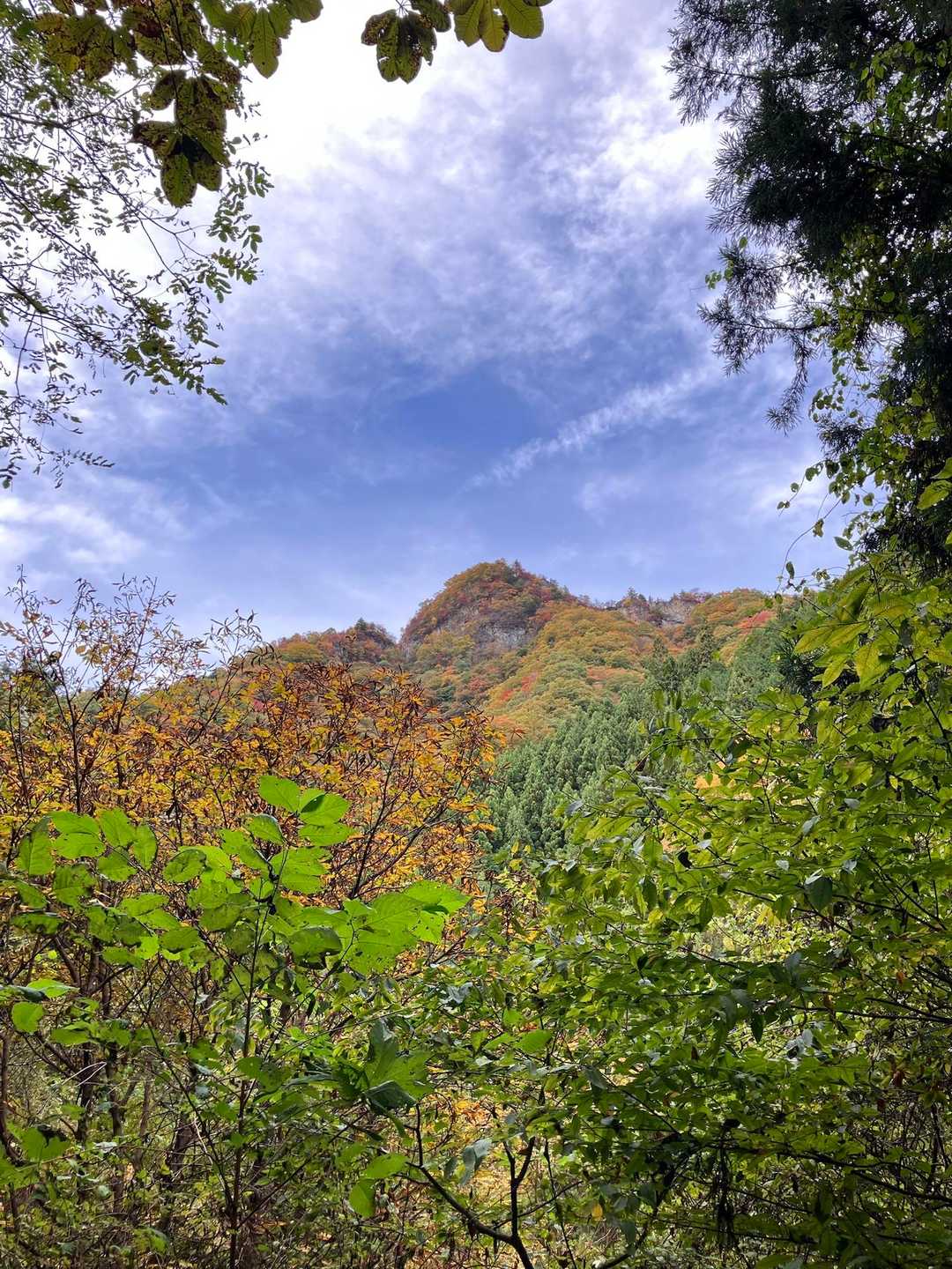 桧沢岳　本峰