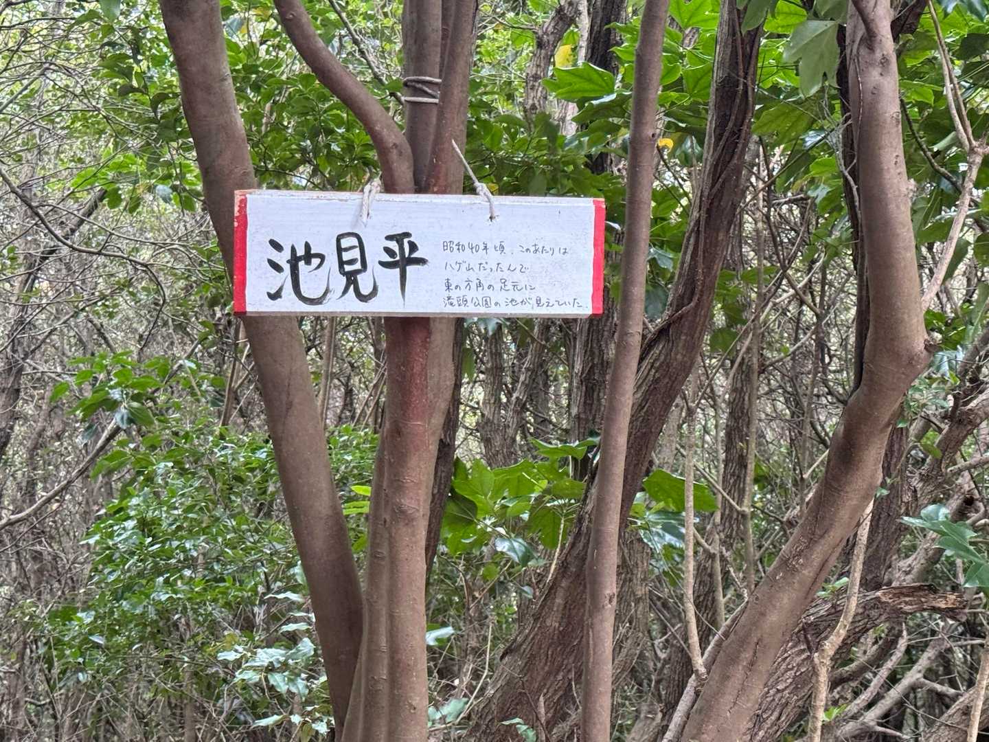 衣笠山 往復コースの写真
