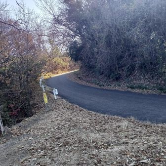 こちらから舗装路になります。