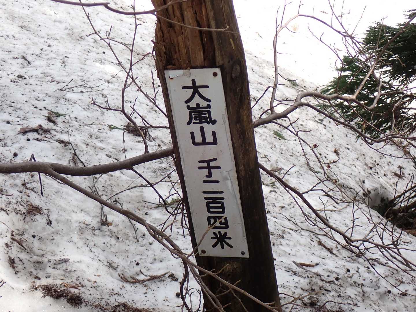 大嵐山 周回コースの写真