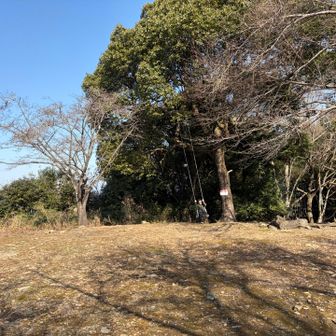 ブランコで遊ぶ旦那氏