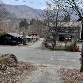 戻ってきました