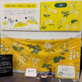 ビジターセンターで、教えてもらった可愛い手ぬぐい買いました🥰