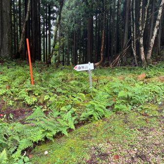 藤無山登り口🥾