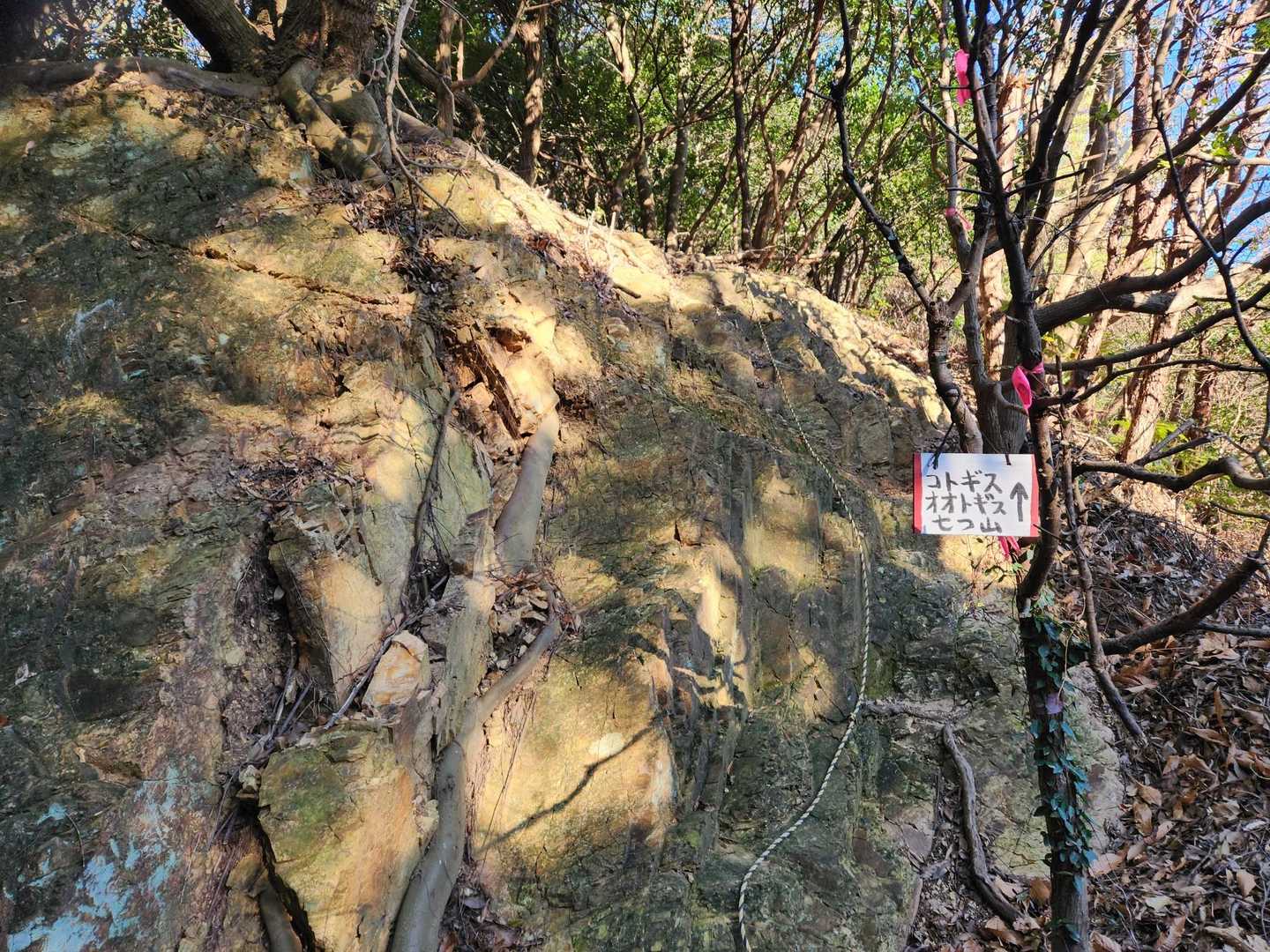 林道を少し歩いて、ここが登山口
約300m先にも階段の登山口があります😊
帰りは階段から下りてきました