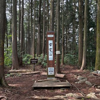 七座目の雷電山
東京都標準(?)の立派な山頂標柱
でも眺望はなし