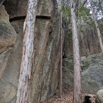 巨岩だらけです