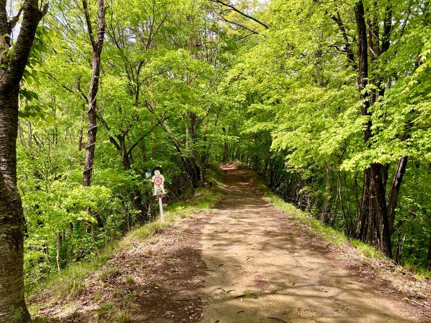 登山口がある大姥神社までは広い道
