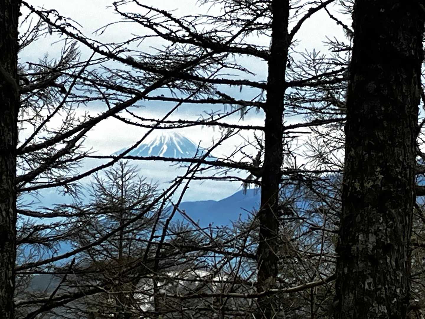 🗻じゃない？？