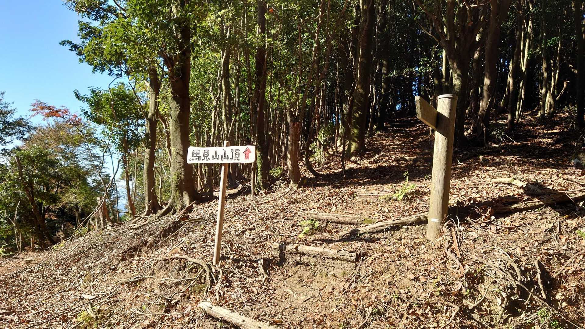 要所要所で看板がありすごく親切です