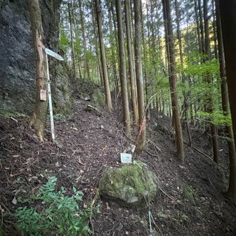 ココは間違えそうになった場所
大きな岩があるココの分岐は
左に登らず 右の 刀掛へ →
