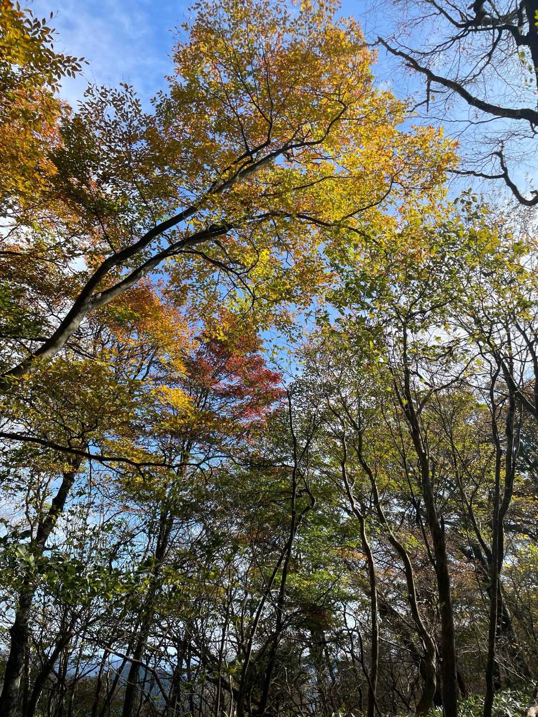 日輪寺入口-旧参道入口-八溝山-日輪寺 周回コースの写真