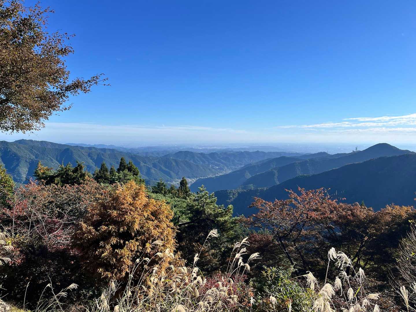 御岳山駅-御岳山-大岳山 往復コースの写真