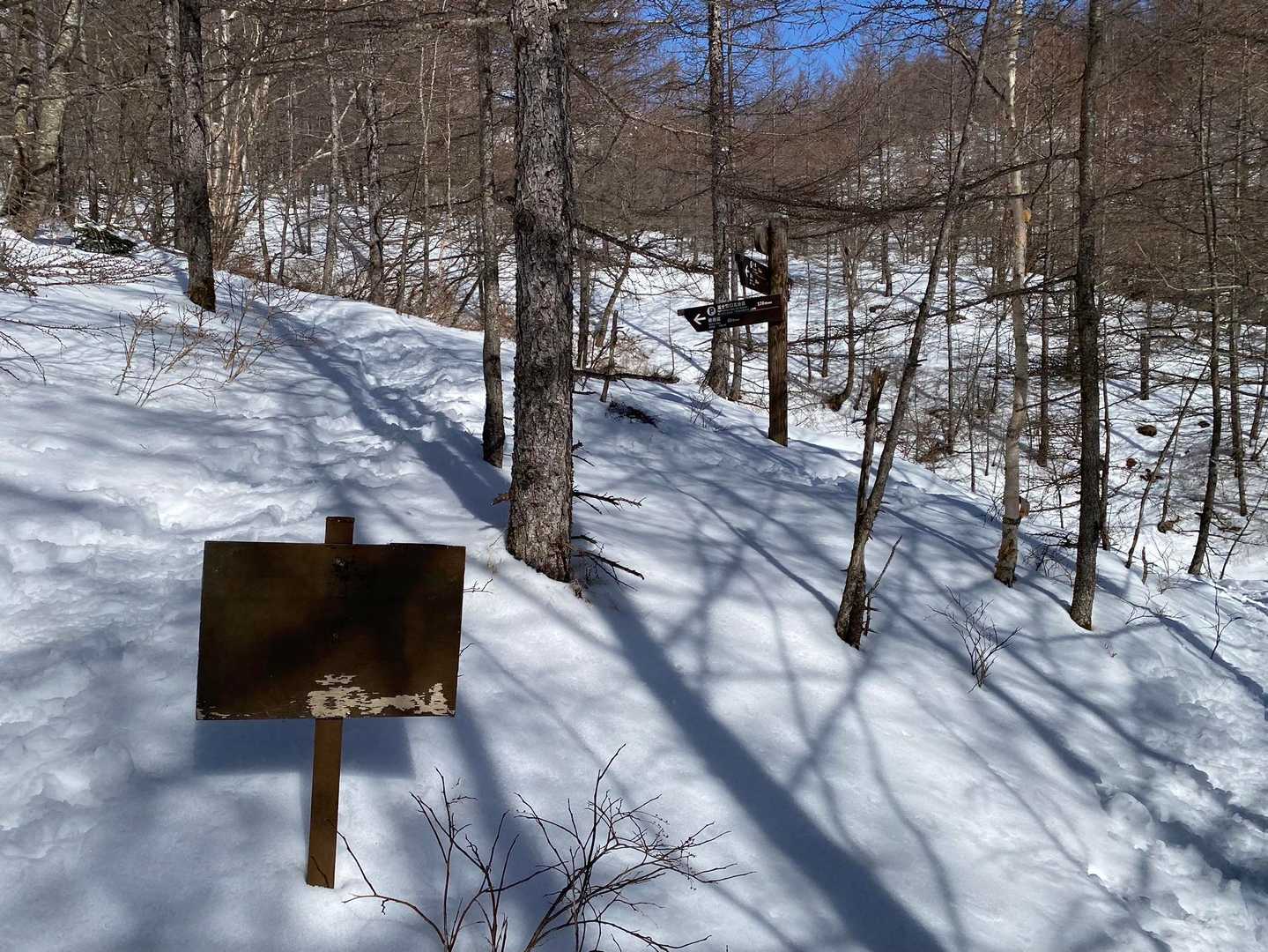 昨年までクマ出没注意の看板だったのに剥がれてる🧸