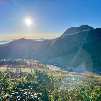 日が当たると暑いくらい🫠
今日もいい天気だなぁ☀️