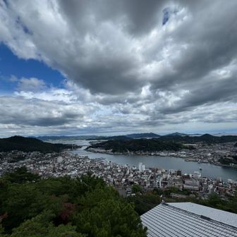 展望台からの景色。ずーと向こうまで見渡せる