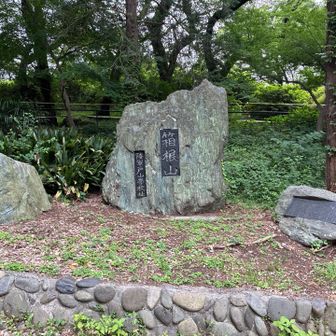西早稲田駅で降りないといけないのに通り過ぎてしまってたー😑
戻って学習院大学前歩いて箱根山🙌
