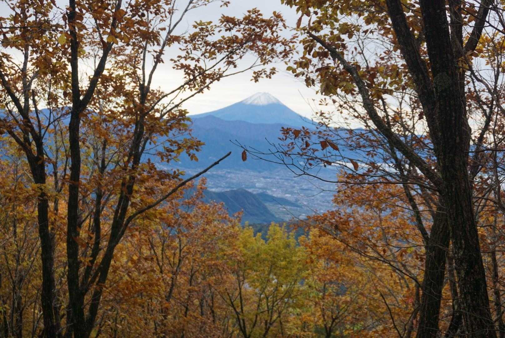 紅葉🍁と富士山🗻ショット！