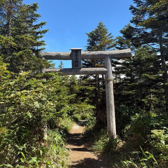横手山神社の鳥居⛩️