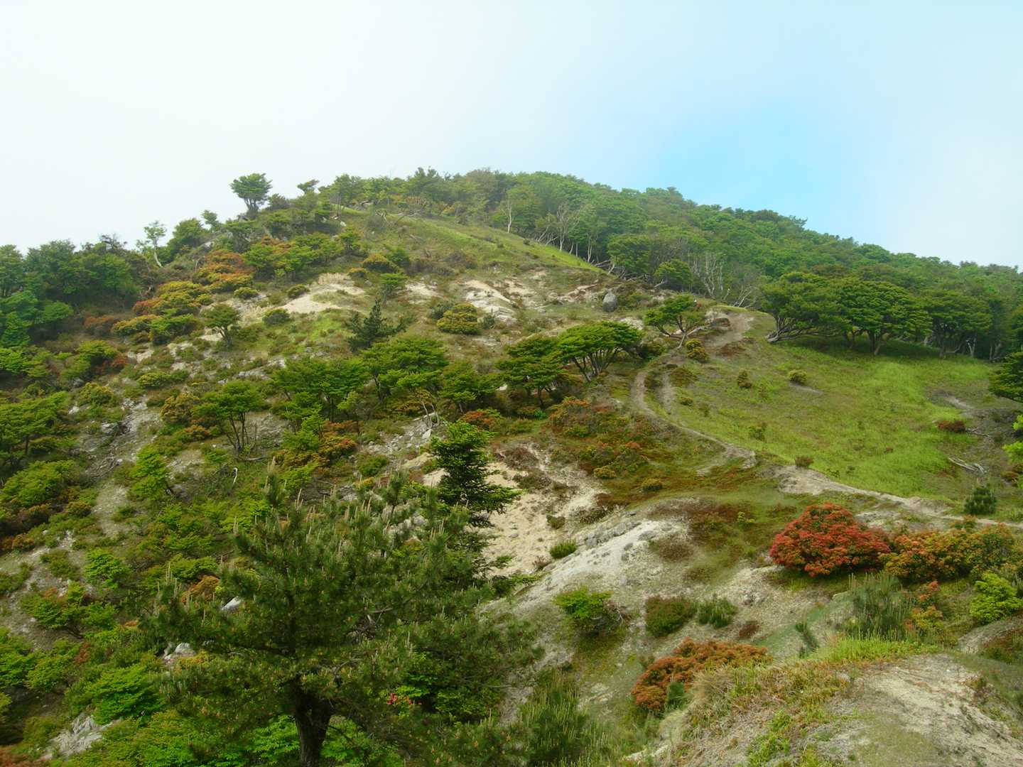 石榑峠-三池岳-八風峠-北仙香山-中峠 往復コースの写真