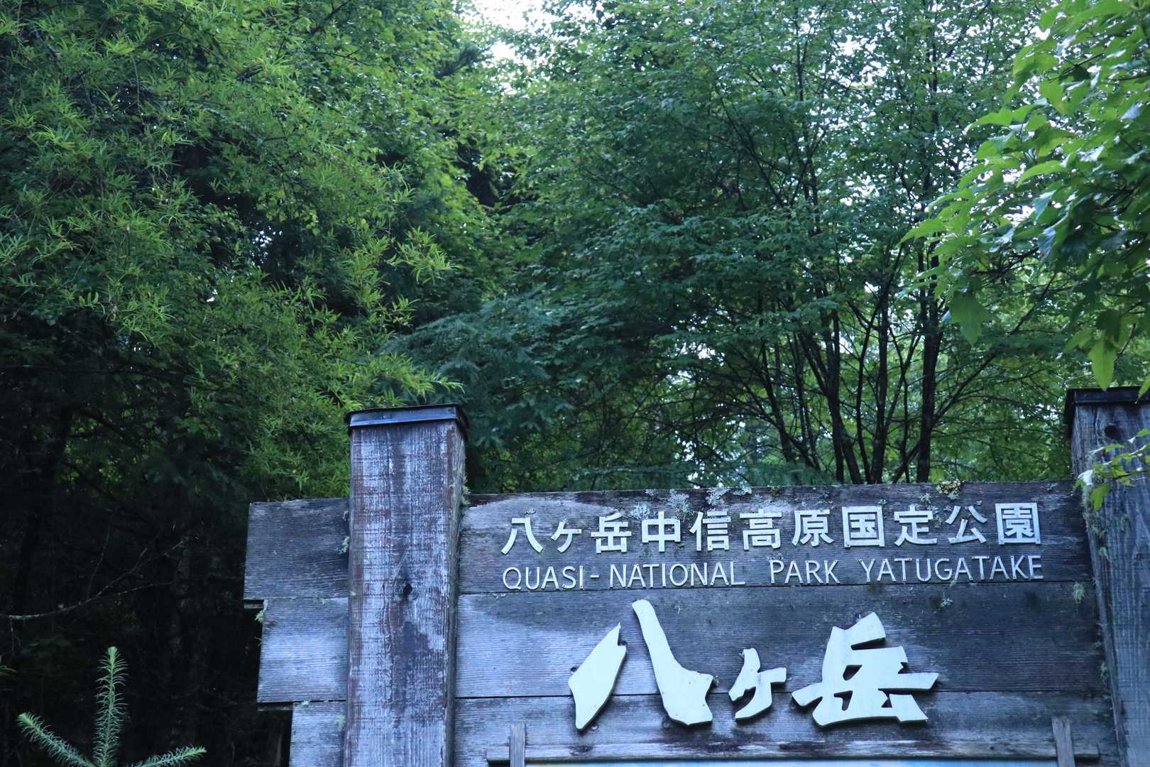 初の八ヶ岳です