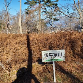 後平家山。
帰りはショートカットルートを使いました。む
