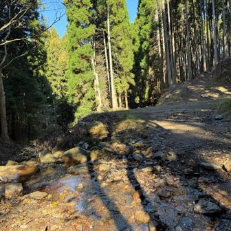 ここからは舗装路。