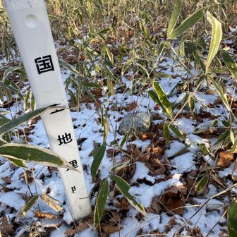 四座目　広尾の丸山②
四等三角点　中丸山
藪漕ぎ10分位　展望無し